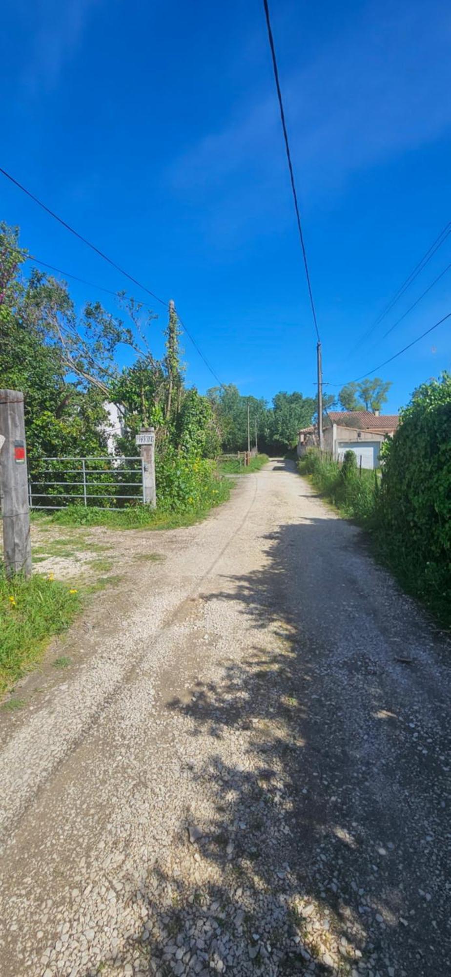 Studio En Camargue آرْلْ المظهر الخارجي الصورة