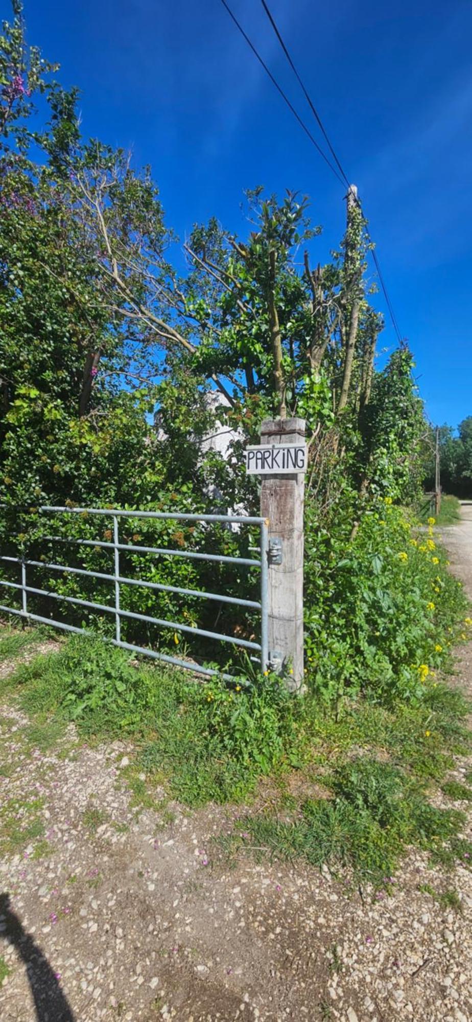 Studio En Camargue آرْلْ المظهر الخارجي الصورة