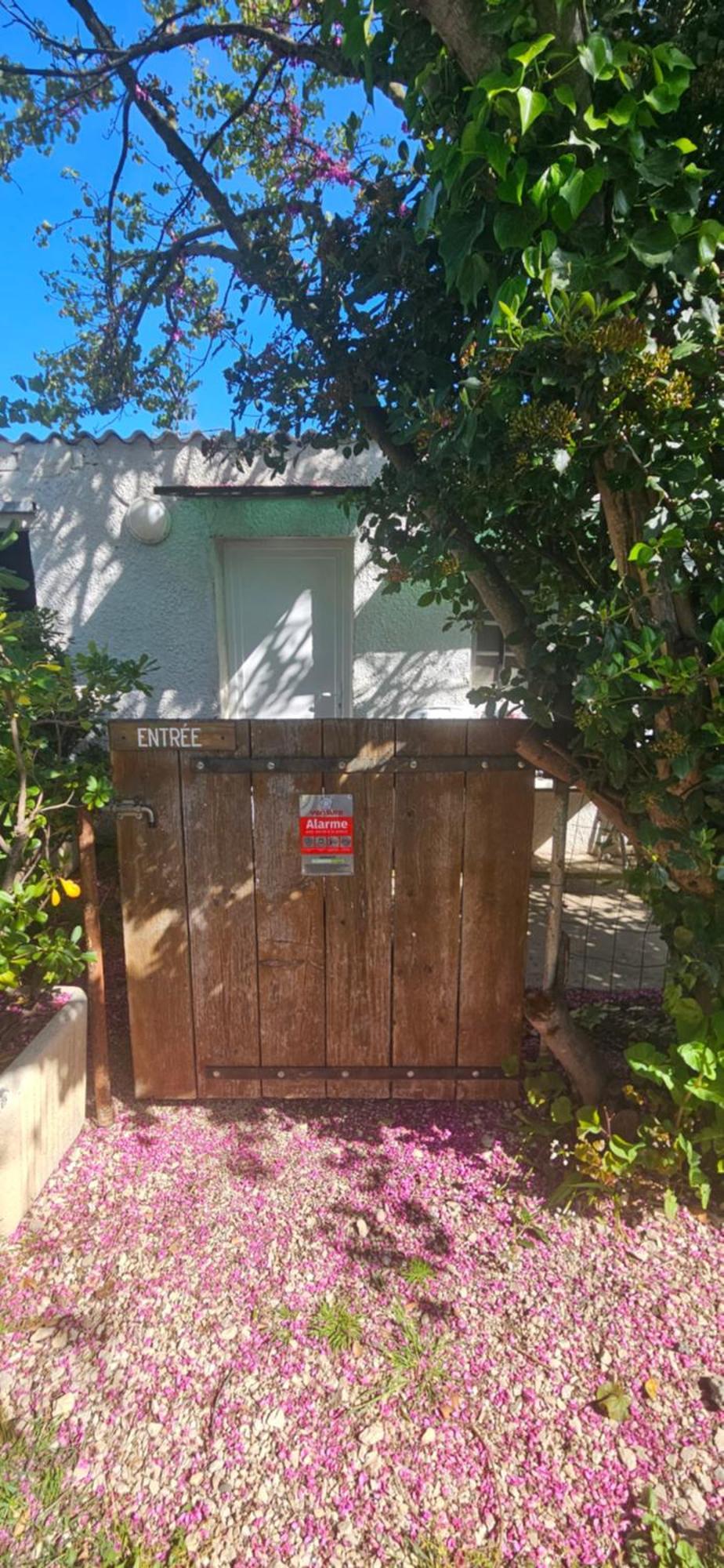 Studio En Camargue آرْلْ المظهر الخارجي الصورة